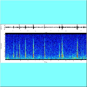 Rhinodoras boehlkei_spectrogram.png